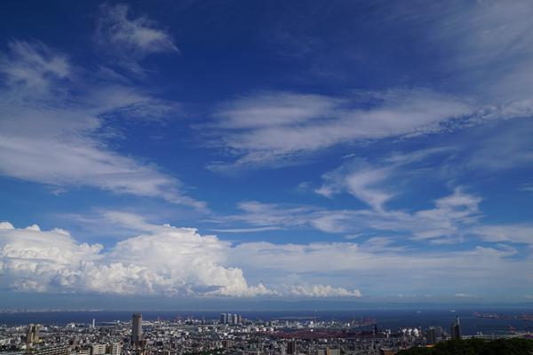 A棟からの風景